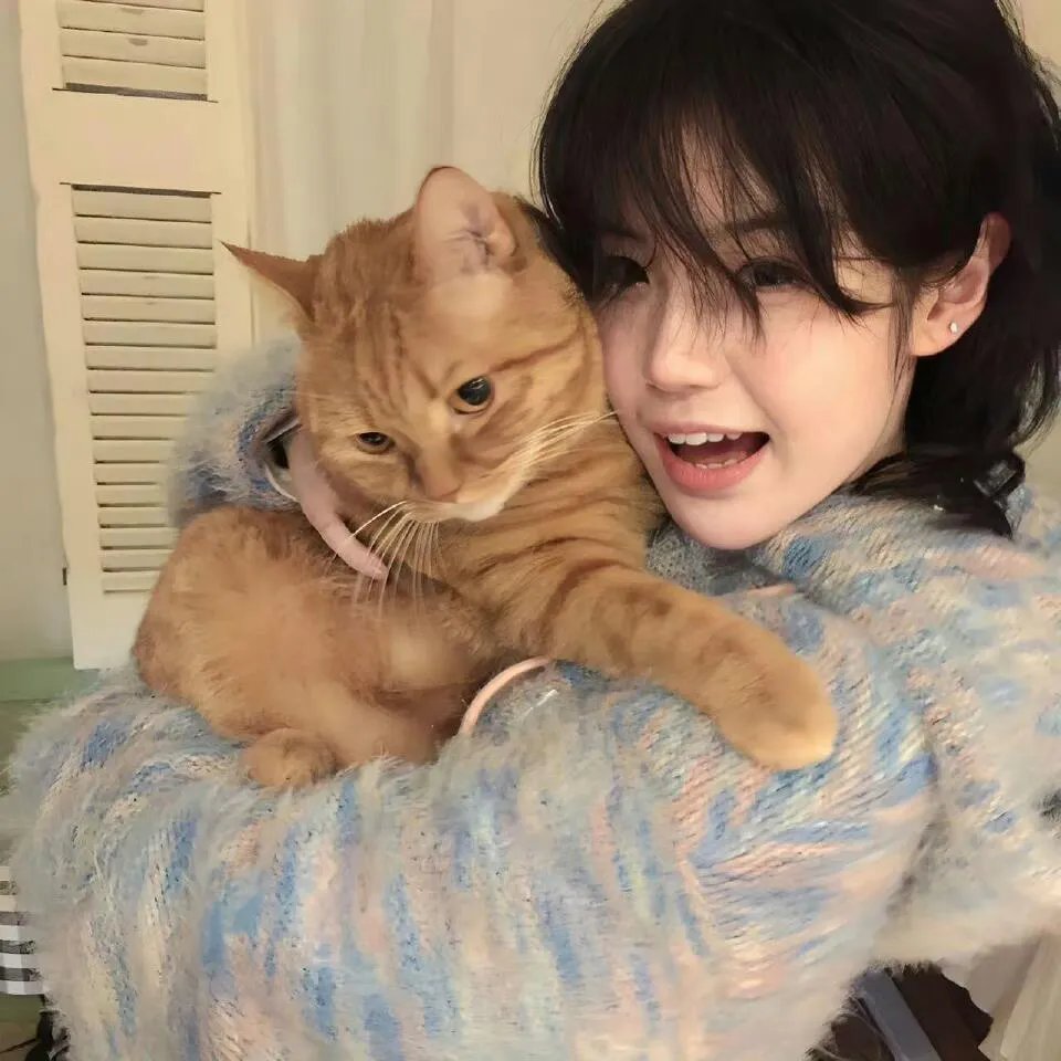 天堂岛之外：2023圣诞特别集